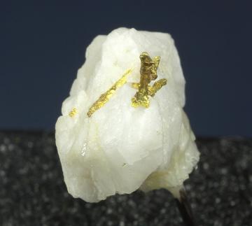 TN155 Gold from Grass Valley, Nevada Co., California, USA TN155 Gold from Grass Valley, Nevada Co., California, USA