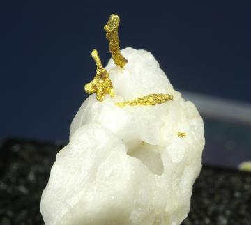 TN155 Gold from Grass Valley, Nevada Co., California, USA TN155 Gold from Grass Valley, Nevada Co., California, USA