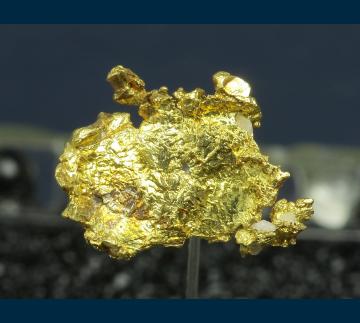 TN156 Gold from Grass Valley, Nevada Co., California, USA TN156 Gold from Grass Valley, Nevada Co., California, USA