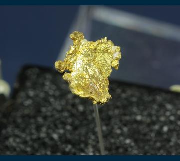 TN156 Gold from Grass Valley, Nevada Co., California, USA TN156 Gold from Grass Valley, Nevada Co., California, USA