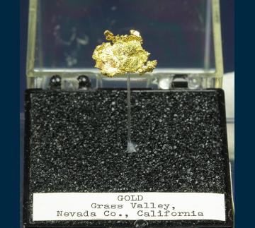 TN156 Gold from Grass Valley, Nevada Co., California, USA TN156 Gold from Grass Valley, Nevada Co., California, USA