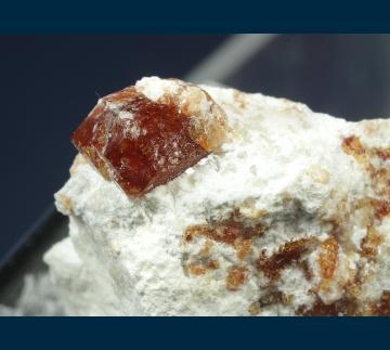 TN159 Grossular garnet from Cerro de Moka, Sierra de Cruces, Mun. de Sierra Mojada, Coahuila, Mexico TN159 Grossular garnet from Cerro de Moka, Sierra de Cruces, Mun. de Sierra Mojada, Coahuila, Mexico