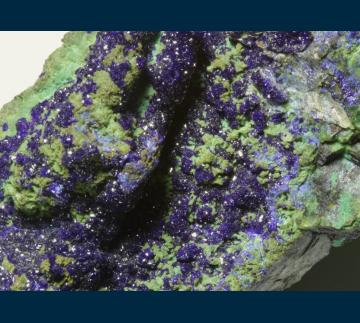 PE1183 Azurite on Conichalcite(?) from Concepción del Oro, Municipío de Concepción del Oro, Zacatecas, Mexico PE1183 Azurite on Conichalcite(?) from Concepción del Oro, Municipío de Concepción del Oro, Zacatecas, Mexico