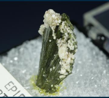 TN204 Epidote  from Concepcion del Oro, Zacatecas, Mexico