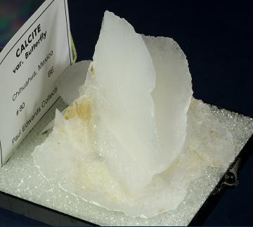 PE80 Calcite from Santa Eulalia District, Mun. de Aquiles Serdán, Chihuahua, Mexico PE80 Calcite from Santa Eulalia District, Mun. de Aquiles Serdán, Chihuahua, Mexico