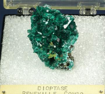 PE522 Dioptase from Reneville Mine, Reneville, Kindanba District, Pool Dept., Republic of Congo PE522 Dioptase from Reneville Mine, Reneville, Kindanba District, Pool Dept., Republic of Congo