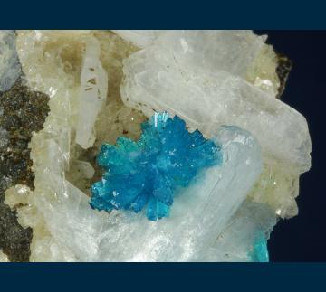 CAV1 Cavansite with Stilbite from Pune District, Maharashtra, India