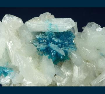 CAV5 Cavansite with Stilbite from Pune District, Maharashtra, India CAV5 Cavansite with Stilbite from Pune District, Maharashtra, India