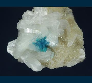 CAV8 Cavansite with Stilbite from Pune District, Maharashtra, India