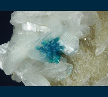 CAV8 Cavansite with Stilbite from Pune District, Maharashtra, India