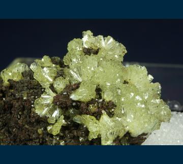 PE372 Adamite from Ojuela Mine, Mapimi District, Bufa de Mapimi, Mun. de Mapimi, Durango, Mexico