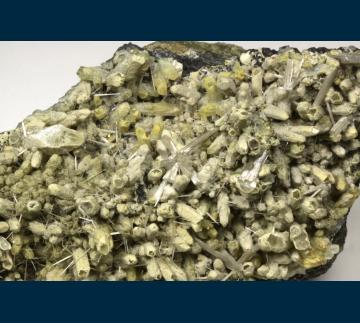 Gypsum on Quartz - United States of America - RG0255