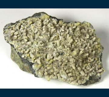 Gypsum on Quartz - United States of America - RG0255