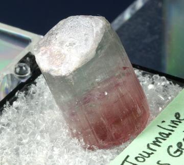 TN223 Elbaite tourmaline from Minas Gerais, Brazil