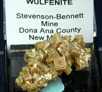 TN226 Wulfenite from Stevenson-Bennett Mine, Organ District, Organ Mts., Dona Ana Co., New Mexico, USA TN226 Wulfenite from Stevenson-Bennett Mine, Organ District, Organ Mts., Dona Ana Co., New Mexico, USA