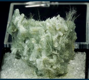 TN234 Actinolite (Var. Byssolite) on Hydroxyapophyllite-(K) from Fairfax Co., Virginia, USA TN234 Actinolite (Var. Byssolite) on Hydroxyapophyllite-(K) from Fairfax Co., Virginia, USA