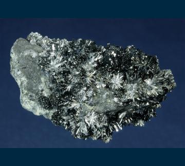 CMS071 Stibnite from Deep Post Mine, Lynn District, North of Carlin, Eureka County, Nevada, USA CMS071 Stibnite from Deep Post Mine, Lynn District, North of Carlin, Eureka County, Nevada, USA