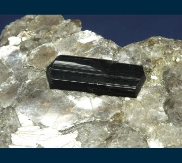 CMS143 Schorl in Muscovite with Clevelandite from Keene Mica Products Mine, Gilsum, Cheshire County, New Hampshire, USA CMS143 Schorl in Muscovite with Clevelandite from Keene Mica Products Mine, Gilsum, Cheshire County, New Hampshire, USA
