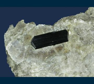 CMS143 Schorl in Muscovite with Clevelandite from Keene Mica Products Mine, Gilsum, Cheshire County, New Hampshire, USA CMS143 Schorl in Muscovite with Clevelandite from Keene Mica Products Mine, Gilsum, Cheshire County, New Hampshire, USA