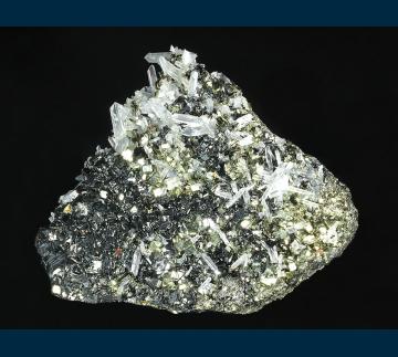 CMS331 Quartz with Sphalerite and Pyrite from Animon Mine, San Jose de Huayllay District, Cerro de Pasco Province, Departmente de Pasco, Peru CMS331 Quartz with Sphalerite and Pyrite from Animon Mine, San Jose de Huayllay District, Cerro de Pasco Province, Departmente de Pasco, Peru