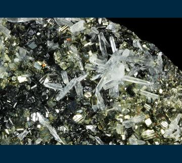 CMS331 Quartz with Sphalerite and Pyrite from Animon Mine, San Jose de Huayllay District, Cerro de Pasco Province, Departmente de Pasco, Peru CMS331 Quartz with Sphalerite and Pyrite from Animon Mine, San Jose de Huayllay District, Cerro de Pasco Province, Departmente de Pasco, Peru