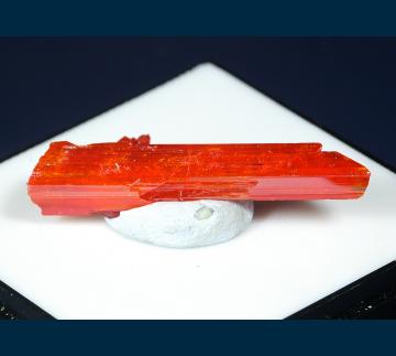 CMS178 Crocoite from Red Lead Mine, Dundas mineral field, Zeehan district, Tasmania, Australia CMS178 Crocoite from Red Lead Mine, Dundas mineral field, Zeehan district, Tasmania, Australia