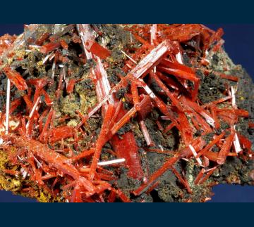 CMS214 Crocoite from Adelaide Mine, Dundas mineral field, Zeehan District, Tasmania, Australia