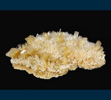 CMS254 Gypsum ( var. Selenite ) from Swan Hill, Victoria, Australia CMS254 Gypsum ( var. Selenite ) from Swan Hill, Victoria, Australia
