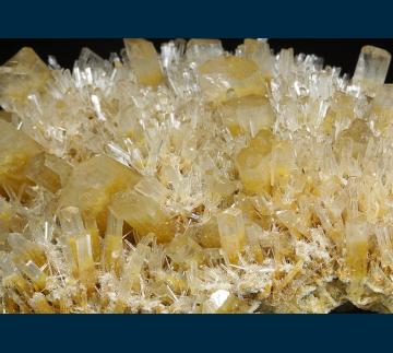 CMS254 Gypsum ( var. Selenite ) from Swan Hill, Victoria, Australia CMS254 Gypsum ( var. Selenite ) from Swan Hill, Victoria, Australia