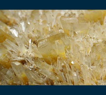 CMS254 Gypsum ( var. Selenite ) from Swan Hill, Victoria, Australia CMS254 Gypsum ( var. Selenite ) from Swan Hill, Victoria, Australia
