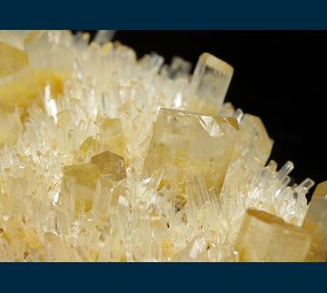 CMS254 Gypsum ( var. Selenite ) from Swan Hill, Victoria, Australia CMS254 Gypsum ( var. Selenite ) from Swan Hill, Victoria, Australia