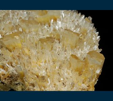 CMS254 Gypsum ( var. Selenite ) from Swan Hill, Victoria, Australia CMS254 Gypsum ( var. Selenite ) from Swan Hill, Victoria, Australia