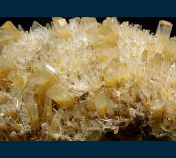CMS254 Gypsum ( var. Selenite ) from Swan Hill, Victoria, Australia CMS254 Gypsum ( var. Selenite ) from Swan Hill, Victoria, Australia