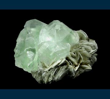 F211 Fluorite on Muscovite from Nagar Valley, Gilgit District, Gilgit-Baltistan, Pakistan F211 Fluorite on Muscovite from Nagar Valley, Gilgit District, Gilgit-Baltistan, Pakistan