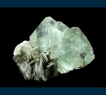 F211 Fluorite on Muscovite from Nagar Valley, Gilgit District, Gilgit-Baltistan, Pakistan F211 Fluorite on Muscovite from Nagar Valley, Gilgit District, Gilgit-Baltistan, Pakistan