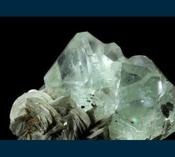 F211 Fluorite on Muscovite from Nagar Valley, Gilgit District, Gilgit-Baltistan, Pakistan F211 Fluorite on Muscovite from Nagar Valley, Gilgit District, Gilgit-Baltistan, Pakistan