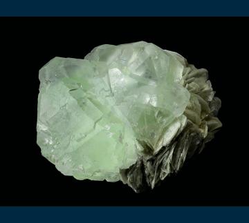 F211 Fluorite on Muscovite from Nagar Valley, Gilgit District, Gilgit-Baltistan, Pakistan F211 Fluorite on Muscovite from Nagar Valley, Gilgit District, Gilgit-Baltistan, Pakistan
