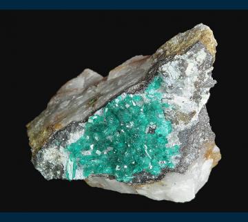 RAY-02 Dioptase on Chrysocolla from Ray Mine, Ray District, near Kearney, Dripping Springs Mts., Pinal County, Arizona, USA RAY-02 Dioptase on Chrysocolla from Ray Mine, Ray District, near Kearney, Dripping Springs Mts., Pinal County, Arizona, USA