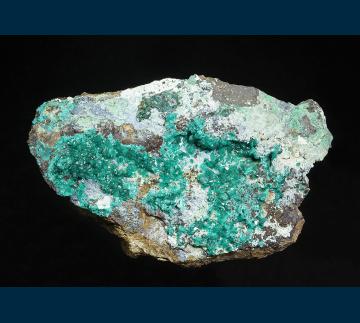 RAY-03 Dioptase from Ray Mine, Ray District, near Kearney, Dripping Springs Mts., Pinal County, Arizona, USA RAY-03 Dioptase from Ray Mine, Ray District, near Kearney, Dripping Springs Mts., Pinal County, Arizona, USA