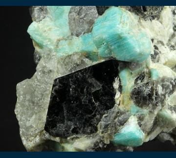 BG1508 Microcline (var. Amazonite) with Biotite in Quartz from Kern Knob, Inyo Co., California, USA