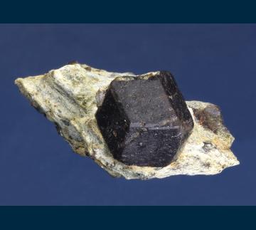 RG0954 Almandine garnet with Staurolite from Green's Farm, Southbury, New Haven County, Connecticut, USA RG0954 Almandine garnet with Staurolite from Green's Farm, Southbury, New Haven County, Connecticut, USA
