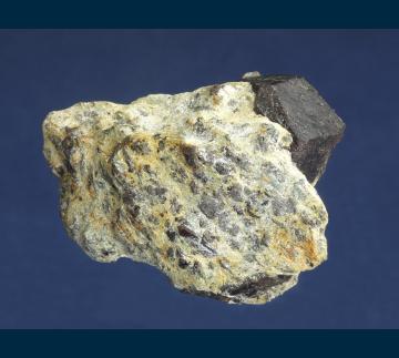 RG0954 Almandine garnet with Staurolite from Green's Farm, Southbury, New Haven County, Connecticut, USA RG0954 Almandine garnet with Staurolite from Green's Farm, Southbury, New Haven County, Connecticut, USA