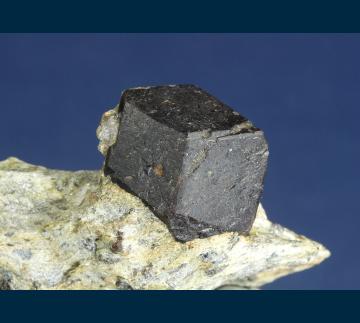 RG0954 Almandine garnet with Staurolite from Green's Farm, Southbury, New Haven County, Connecticut, USA RG0954 Almandine garnet with Staurolite from Green's Farm, Southbury, New Haven County, Connecticut, USA