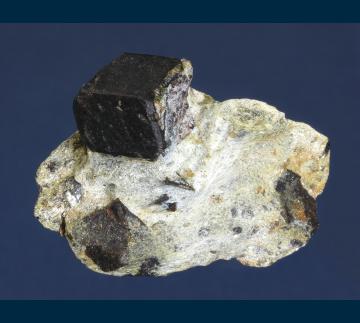 RG0954 Almandine garnet with Staurolite from Green's Farm, Southbury, New Haven County, Connecticut, USA RG0954 Almandine garnet with Staurolite from Green's Farm, Southbury, New Haven County, Connecticut, USA