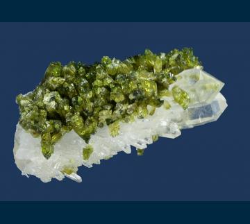 RG0960 Epidote on Quartz from Nelson Range, Inyo County, California, USA