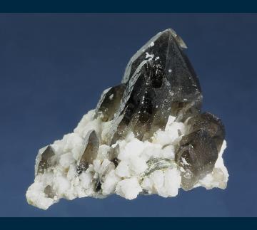 RG0665 Quartz ( var. Smoky ) on Albite from Sawtooth Mts., Boise County, Idaho, USA