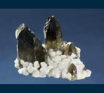 RG0665 Quartz ( var. Smoky ) on Albite from Sawtooth Mts., Boise County, Idaho, USA