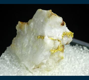 TN240 Gold from Grass Valley, Nevada Co., California, USA TN240 Gold from Grass Valley, Nevada Co., California, USA