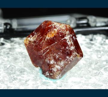 TN251 Grossular garnet from Cerro de Moka, Sierra de Cruces, Mun. de Sierra Mojada, Coahuila, Mexico TN251 Grossular garnet from Cerro de Moka, Sierra de Cruces, Mun. de Sierra Mojada, Coahuila, Mexico