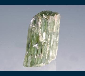 TN273 Elbaite tourmaline from Himalaya Mine, Mesa Grande District, Mesa Grande, San Diego County, California, USA TN273 Elbaite tourmaline from Himalaya Mine, Mesa Grande District, Mesa Grande, San Diego County, California, USA